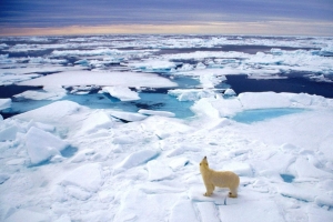 因冰雪融化北極有史以來首次變成一座孤島，研究氣候變化的科學家來說，這是全球暖化對全世界產生的嚴重破壞的一個重要跡象。(圖：大公網) <br/>