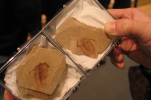 錢博士更展示了大量澄江化石的圖片，更帶來了一些水母生物及三頁蟲的化石，吸引參加者圍觀。(圖：基督日報/陳麗斯) <br/>