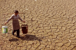 連續乾旱直接造成了農作物產量下降。（圖：漢網） <br/>