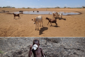 （上）因當地乾淨水源缺乏，许多人民賴以維生的水源都是人畜共用，造成霍亂、寄生蟲、腹瀉等疾病。（下）5歲的伊麗莎赤腳背負沉重的水壺前來尚有水源之處取水，忍不住先取一杯解渴。（圖：世界展望會提供） <br/>