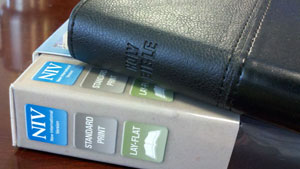 2011年新國際版（NIV）聖經中使用性別中立的語言 <br/>