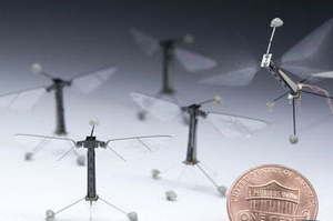 哈佛大學科學家研究出的昆蟲機器人。（圖：中國日報網） <br/>