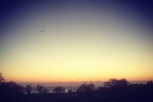 吳建豪在臉書上傳一張美麗日出的照片，「每天早上5點觀看非洲的日出是一種祝福，可以感受到平安。」（圖：吳建豪臉書） <br/>