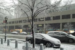 大雪天氣讓紐約市一夜過後換上白裝，汽車在飄舞的雪花中行駛。（圖：本報記者） <br/>