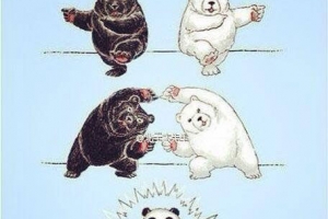 有網友特別為范范和黑人這對「黑白配」懷雙胞胎畫了一幅圖畫，圖畫上有一隻代表黑人的黑熊和一隻代表范范的白熊，下面出來一隻熊貓，非常滑稽，連范范也直呼「好喜歡啊」。（圖：范范 Facebook） <br/>