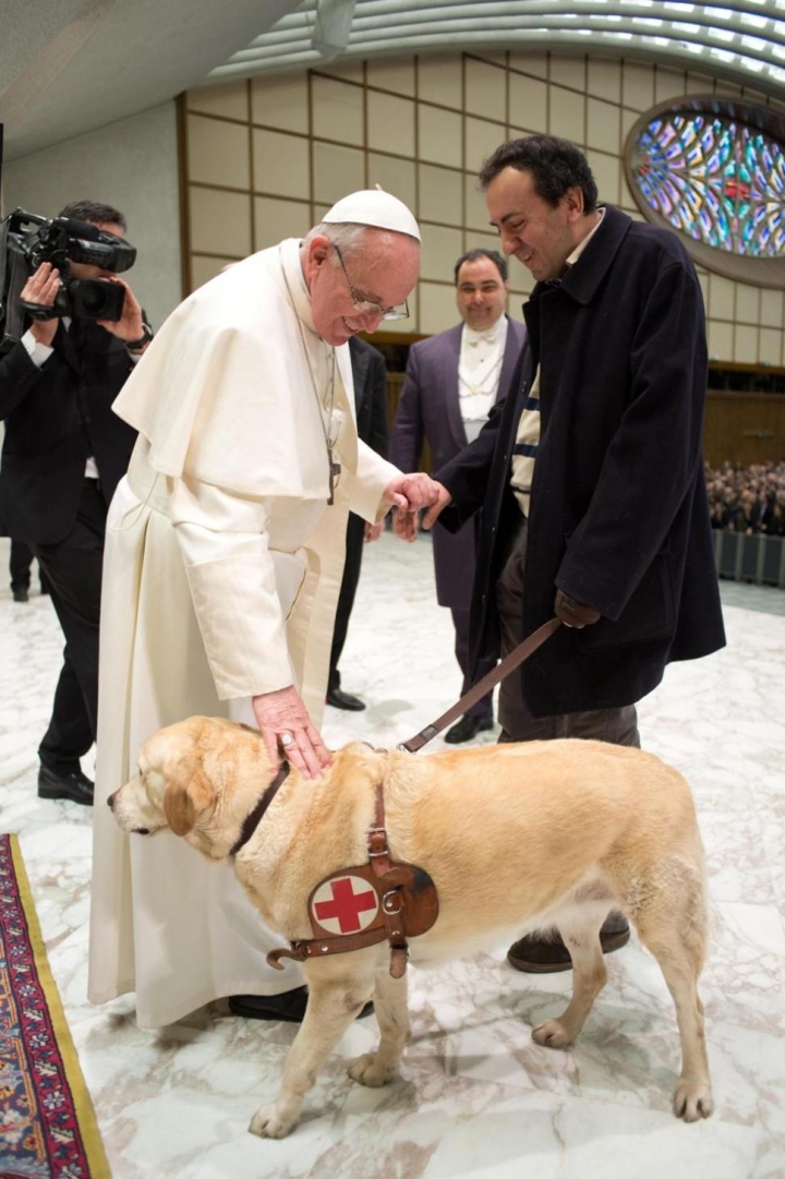 羅馬天主教教宗方濟近日在一個公開場合暗示，動物也可以上天堂。圖為2013年3月，方濟在梵蒂岡與一隻輔助犬互動。(圖:路透社)