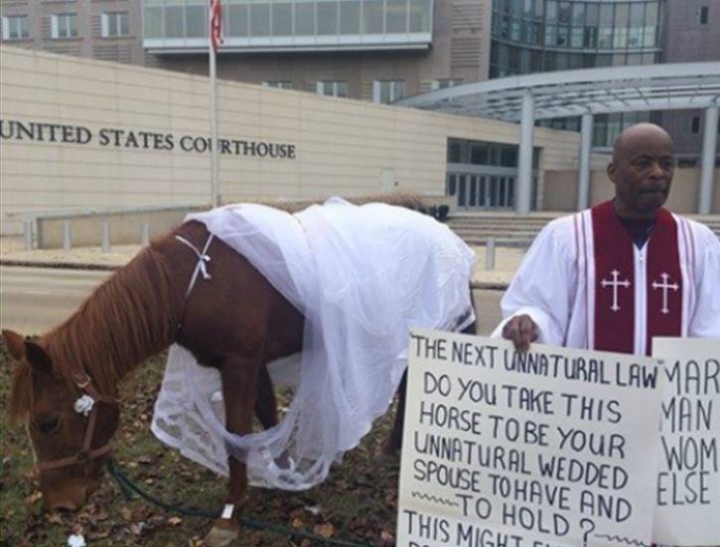 美國密西西比州一位牧師將馬打扮成新娘的模樣牽到當地聯邦法院門口，以示抗議同性婚姻。（圖：視頻截圖）