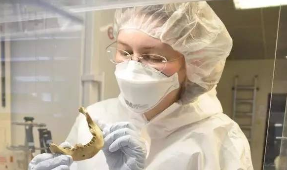 论文的第一作者、德国图宾根大学的Verena J.Schuenemann在检查人骨样品。