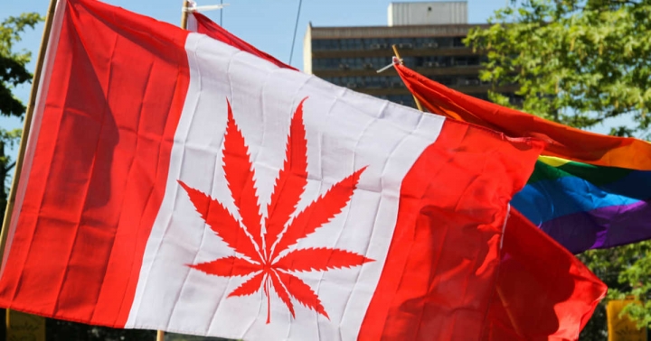 加拿大成為繼南美烏拉圭之後第二個大麻全面合法化的國家(Flickr/cannabisculture)