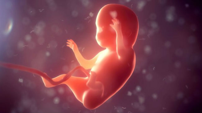 胎兒具有人類的生命。（圖：網絡圖片）
