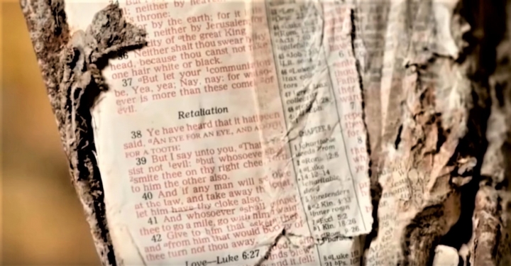 瓦礫藏《聖經》登山寶訓。（圖：視頻擷圖）