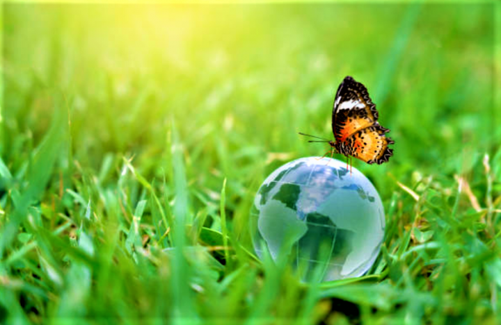 環境保育讓上帝創造的美好世界持續發展。（圖：Getty Images） 

 