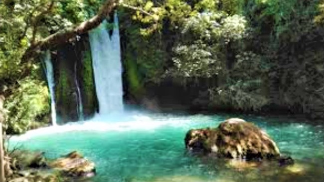 巴尼亞自然保護區瀑布。（圖：網絡圖片）