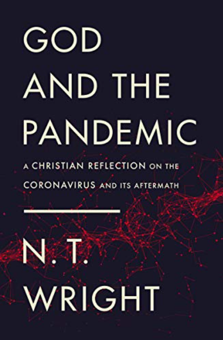 《神與疫情：基督教對新冠病毒及其後續的反思》（God and the Pandemic: A Christian Reflection on the Coronavirus and its Aftermath）一書封面。（AMAZON）