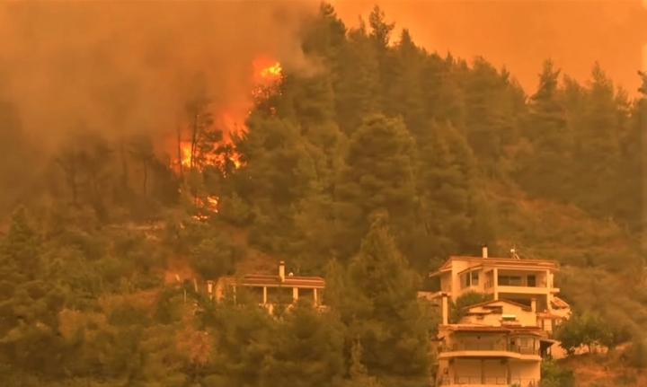希臘埃維亞島森林大火。（圖：視頻擷圖） 

 