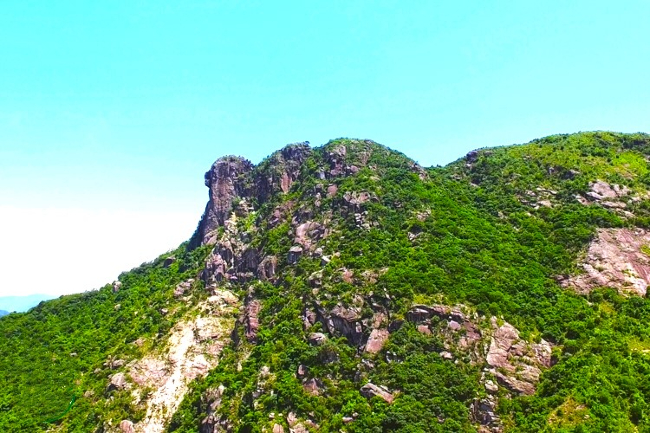香港獅子山。（圖：漁農自然護理署網頁） 