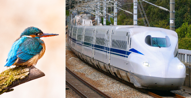 翠鳥喙的形狀／日本子彈列JR東海N700S系列2022年。（圖：freepik＠wirestock／維基百科）