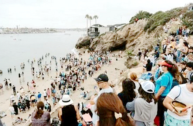 Jesus Revolution Baptism at California Beach